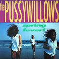 pussywillows
